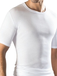 Классическая мужская футболка с короткими рукавами