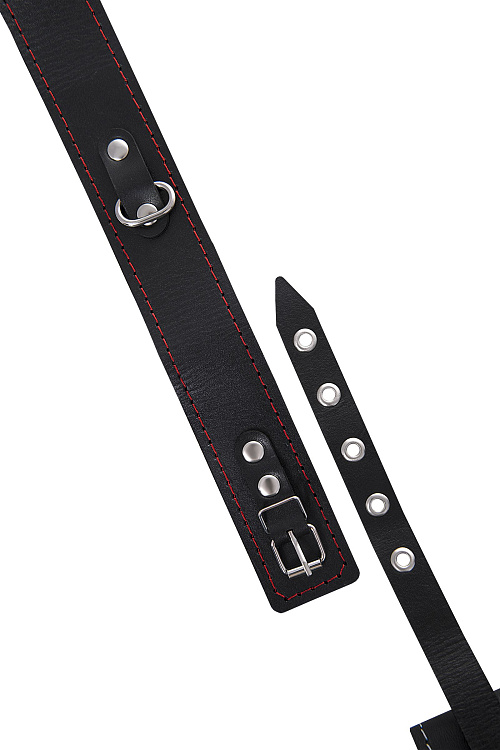 Кожаный двухслойный ошейник с красной строчкой и поводком