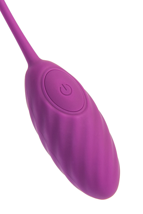 Фиолетовое силиконовое виброяйцо Purr